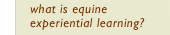 what is equine experiential learning?